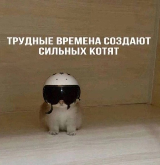 1708148926152.png