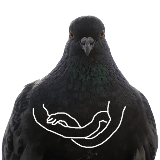 1708633217449.png