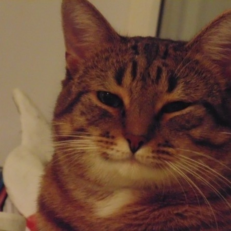 1709903641450.png
