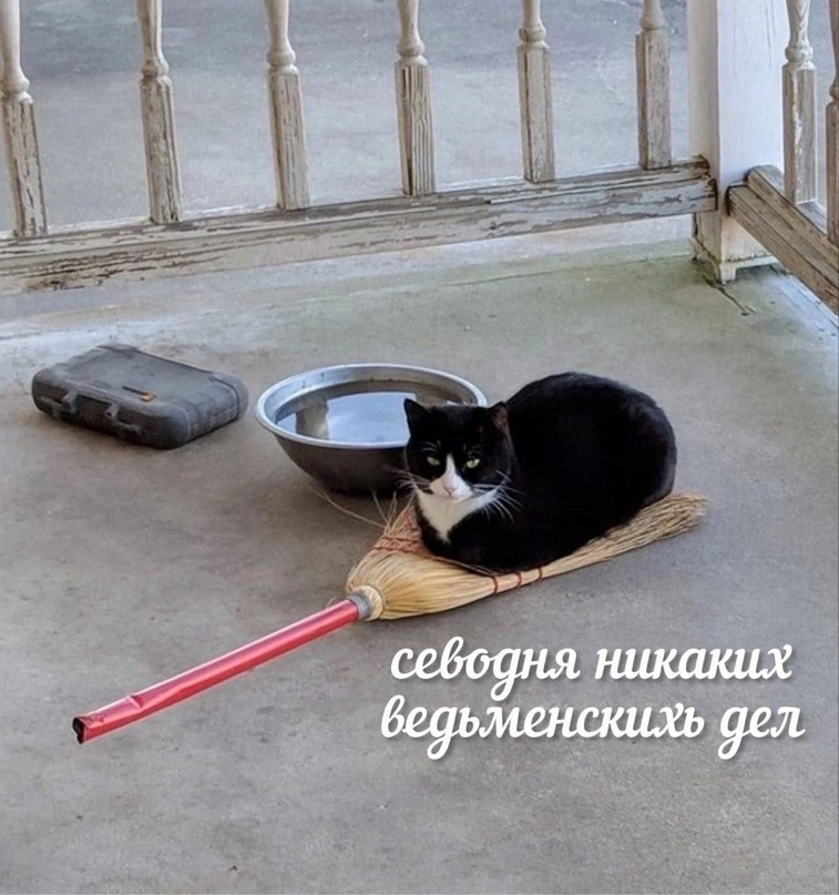 1710131009846.png