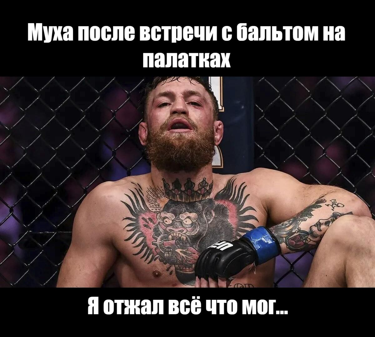 1712090956808.png