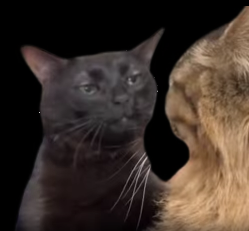 1712145932273.png