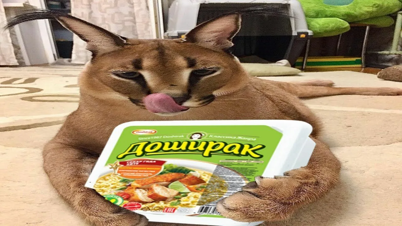 1713165964561.png