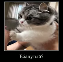 1713538284819.png