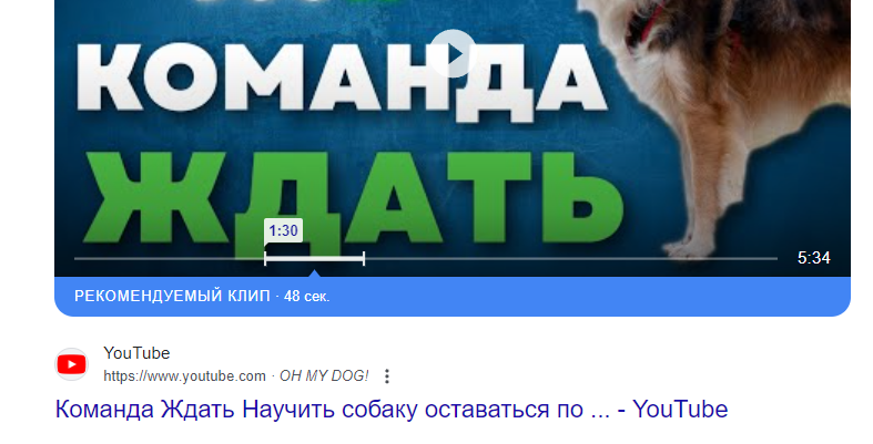 1715304327612.png