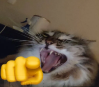 1715346721150.png