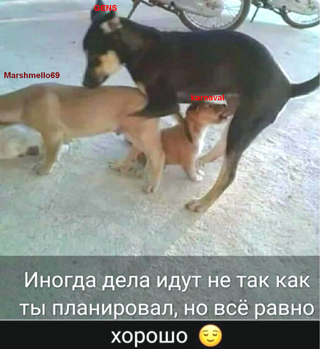 1716500752171.png