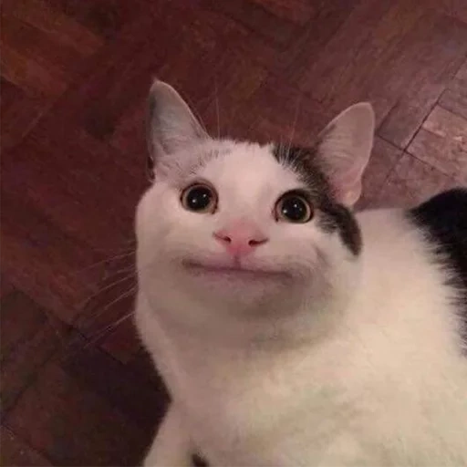 1717050214523.png