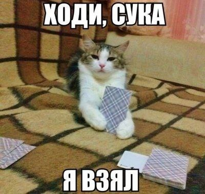 1717576494073.png