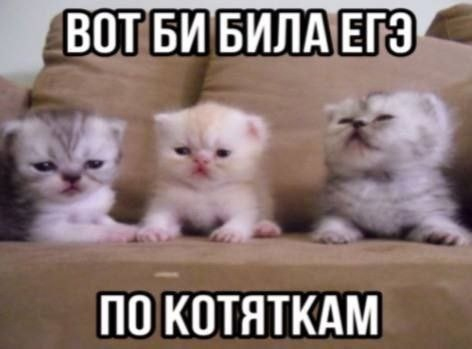1717576819888.png