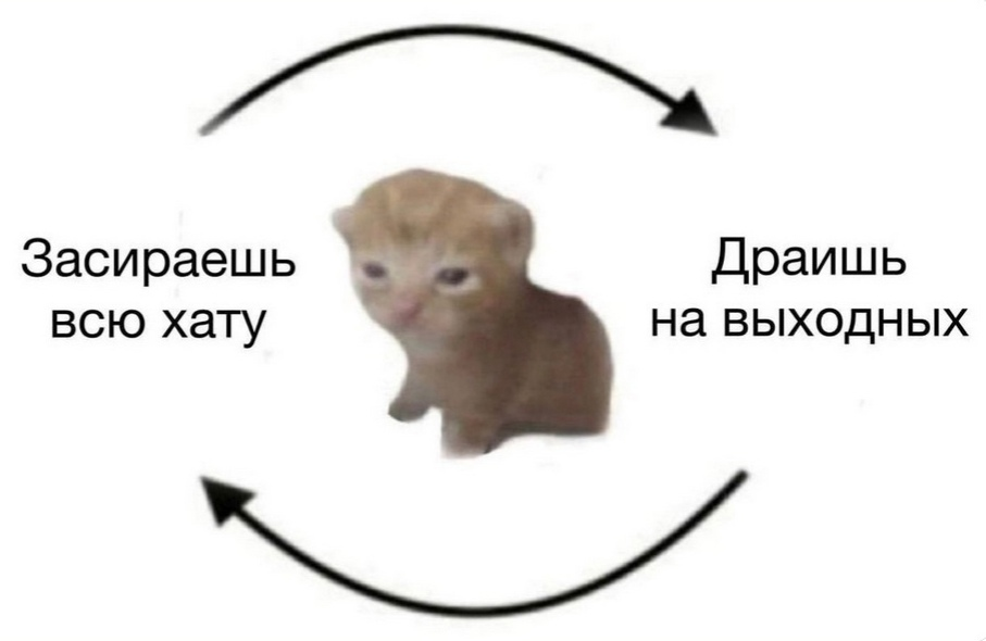 1717832513462.png