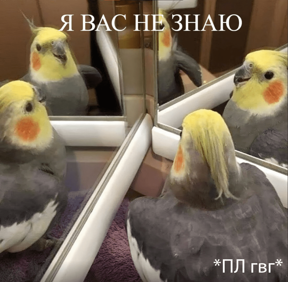 1718721523388.png