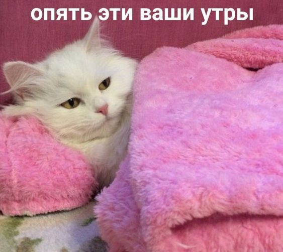1719040520.jpg