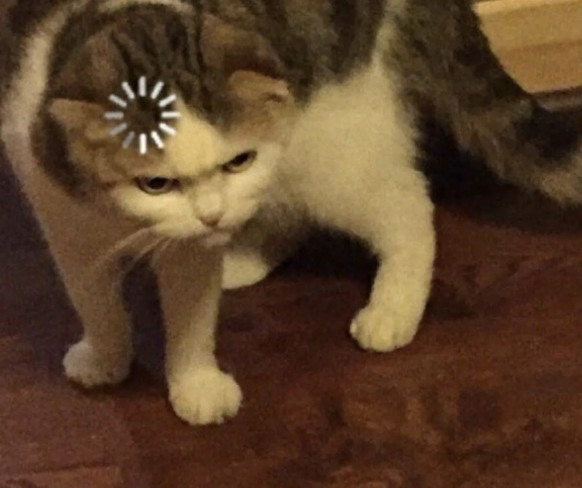 1719489414641.png