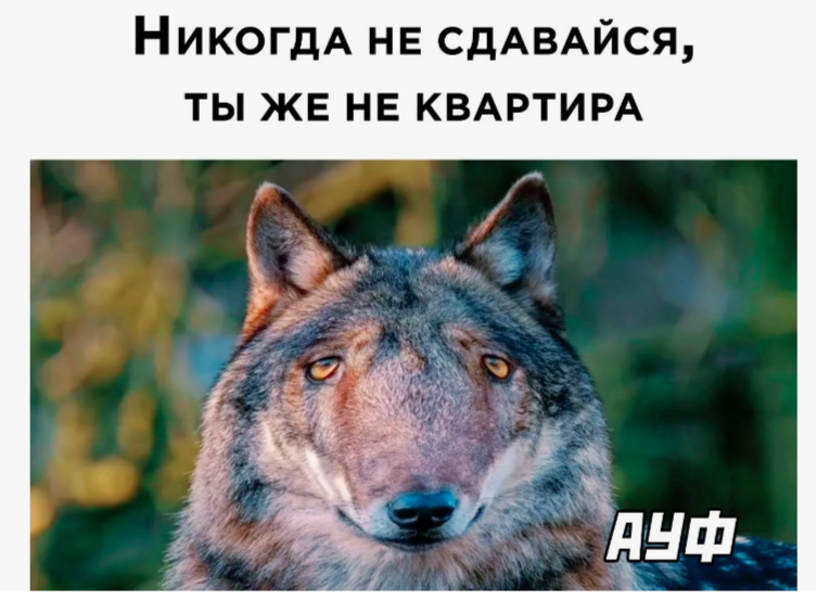 1720029913454.png