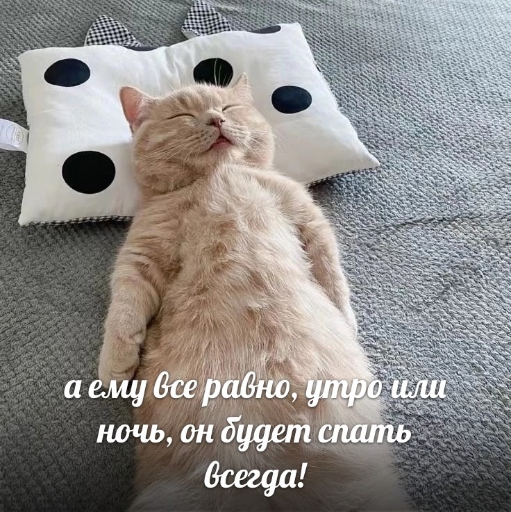 1721367527810.png