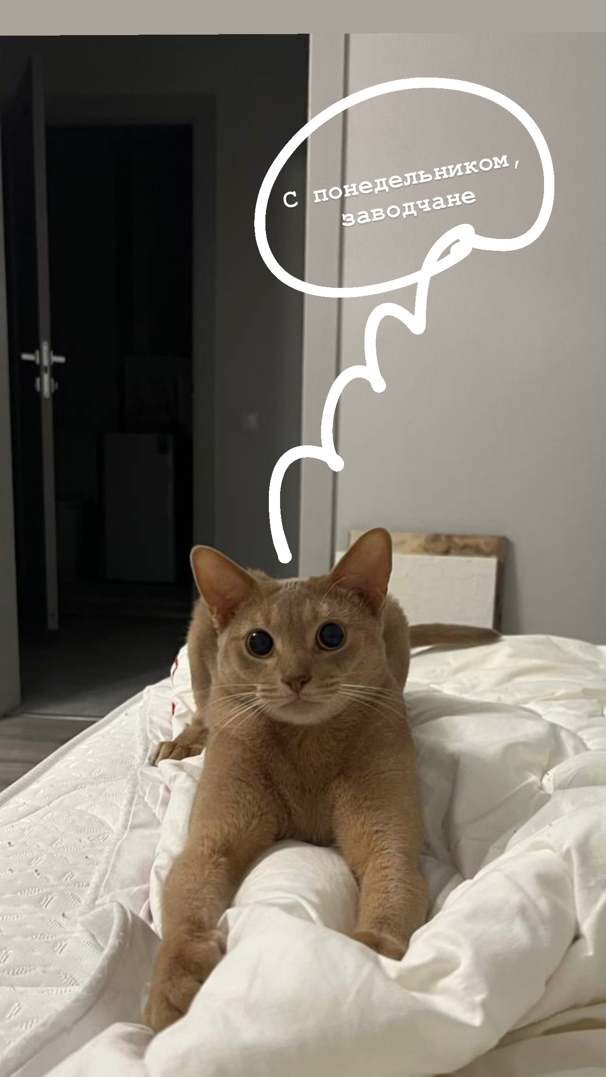 1721627594116.jpeg