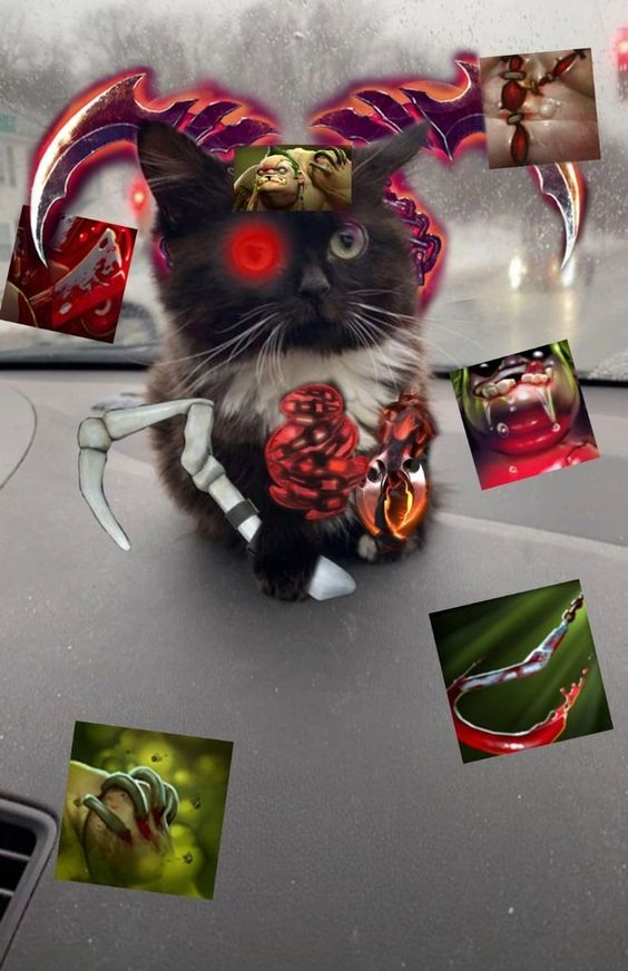 1721806263468.png