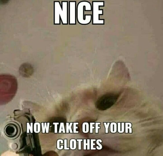 1721826538477.png