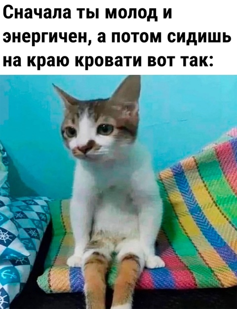 1721832581.jpg