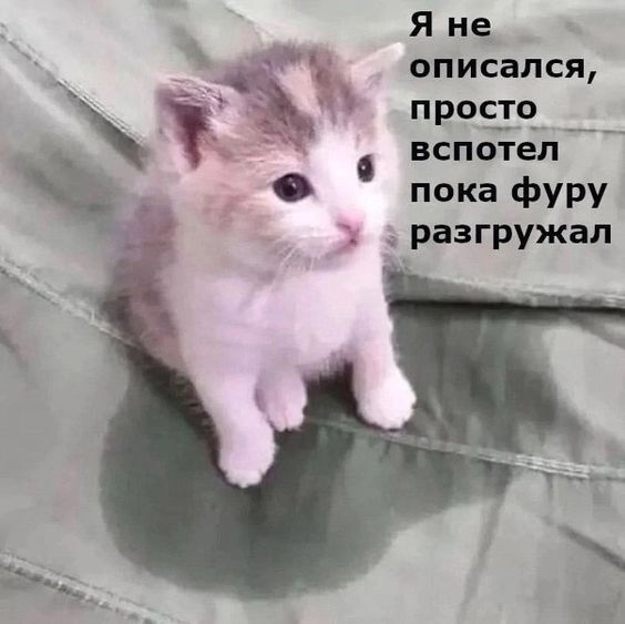 1722001271.jpg