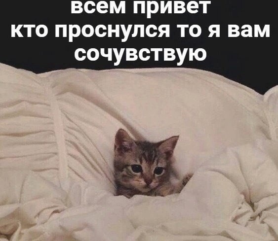 1722418219.jpg
