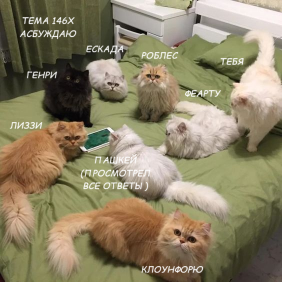 1722503557136.png