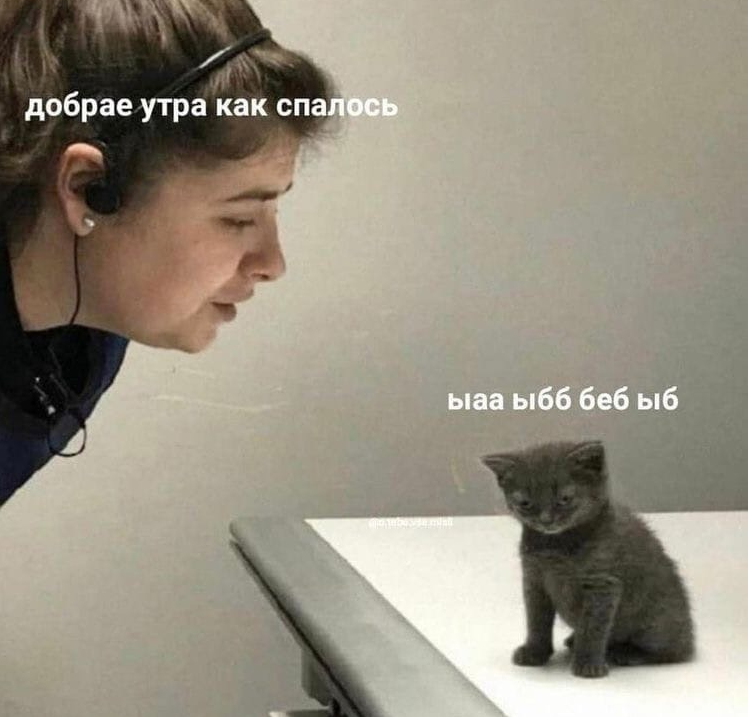 1722653062029.png
