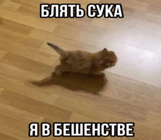1722841481514.png