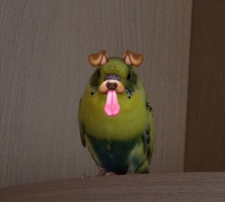 1722848199497.png
