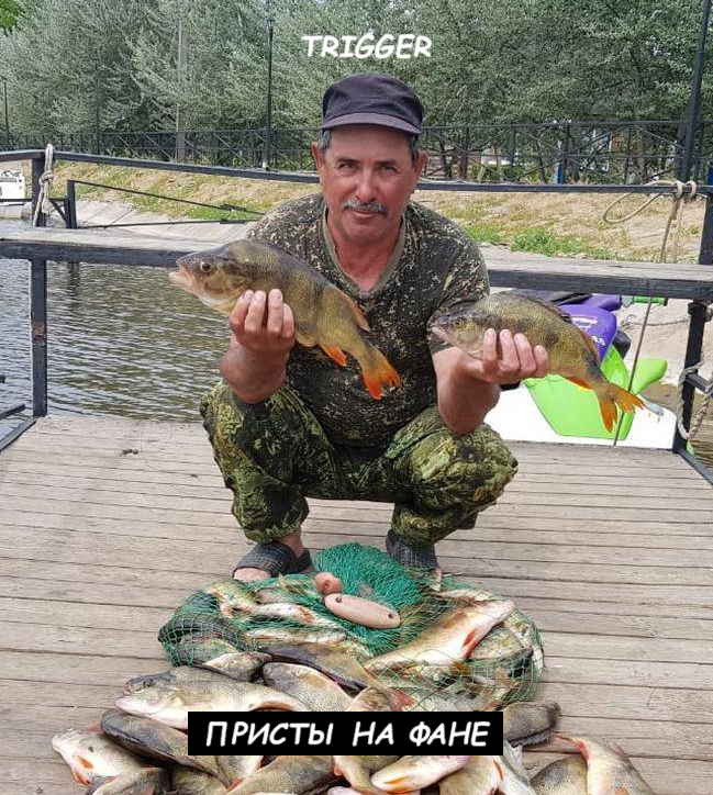 1722863908427.png