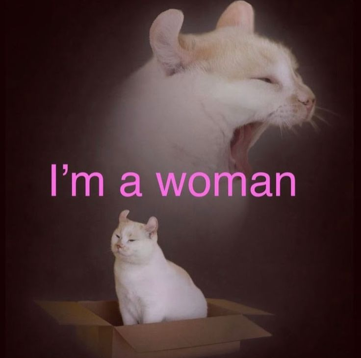 1722927896925.png