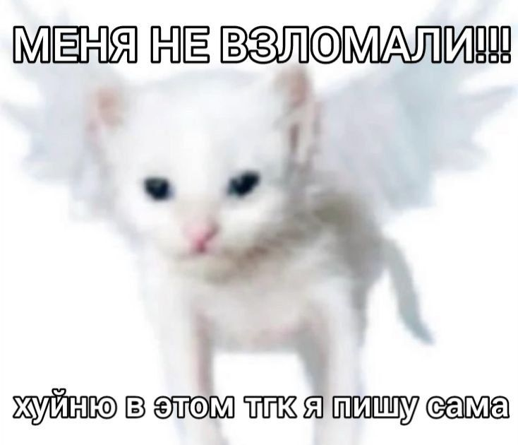 1722928353486.png