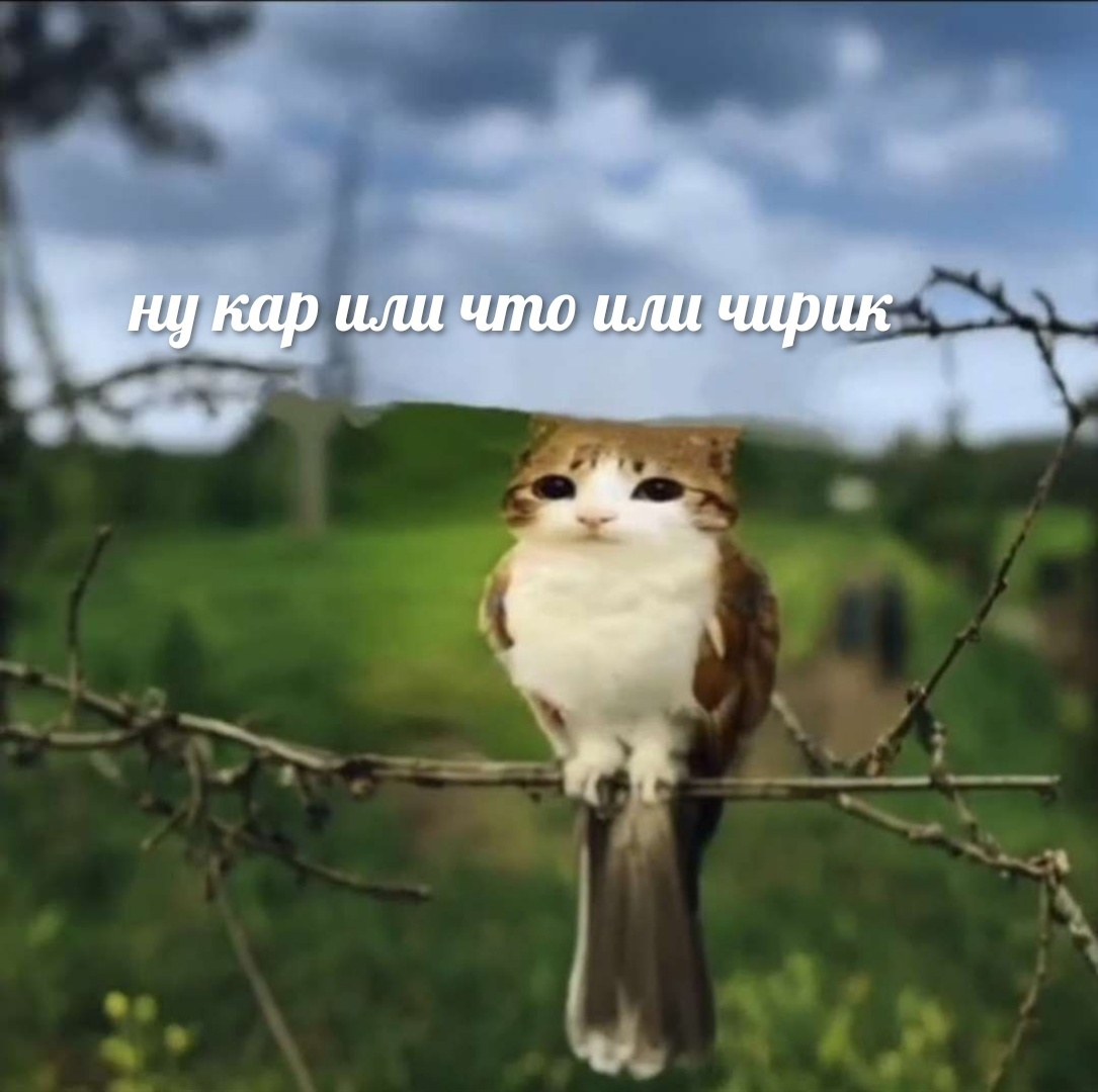 1722955590731.png