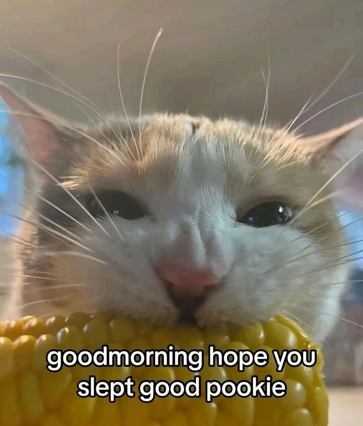 1723013928111.png