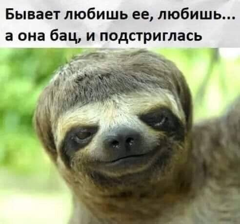 1723103411917.png