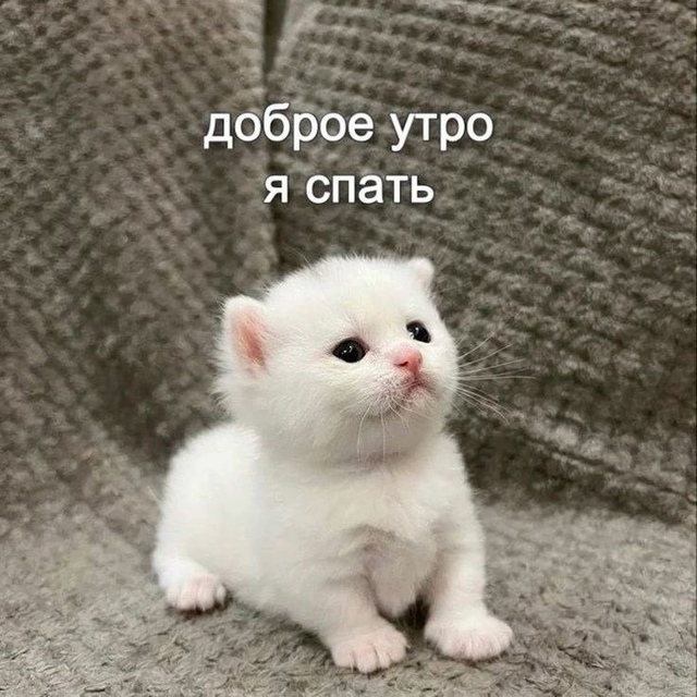 1723525960.jpg