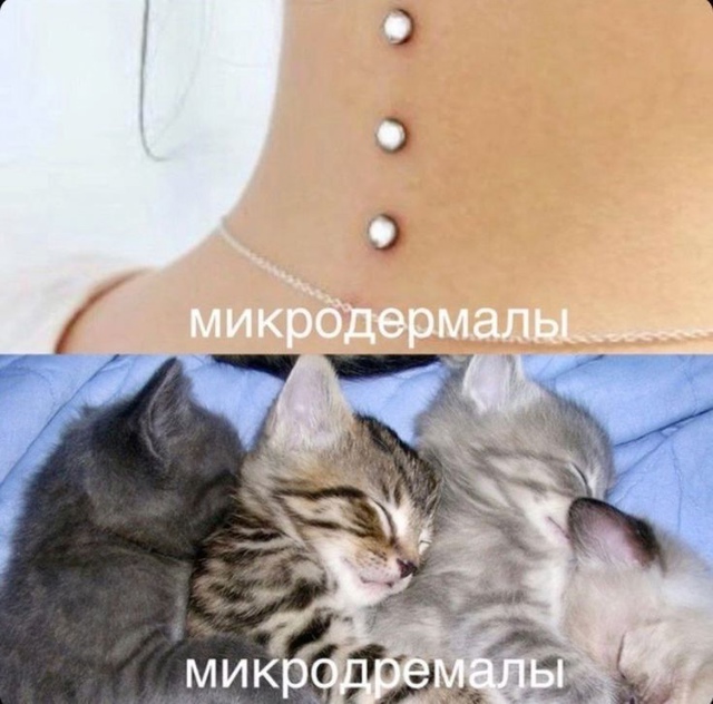 1723533332.jpg
