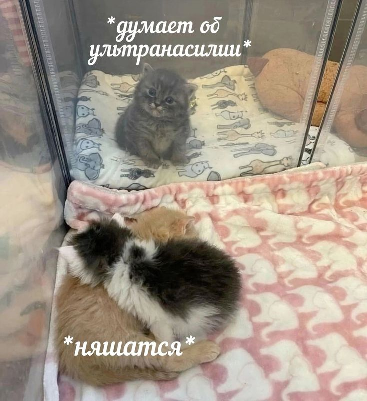 1723618190063.png