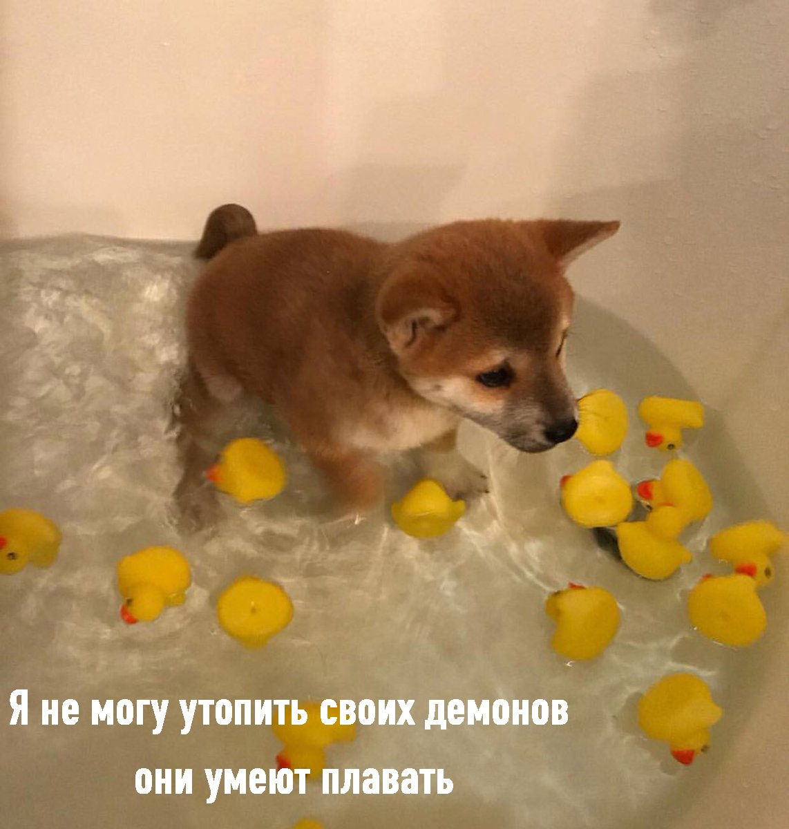 1723661402025.png