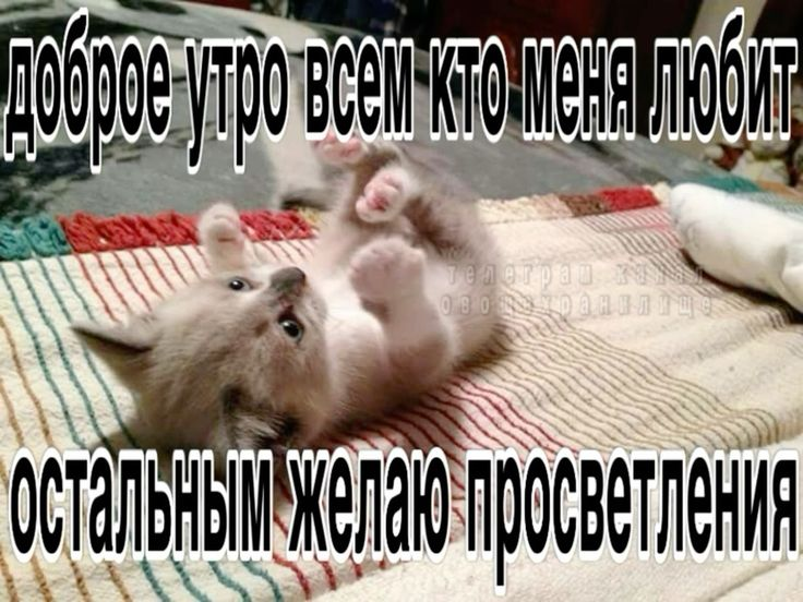 1723705915255.png