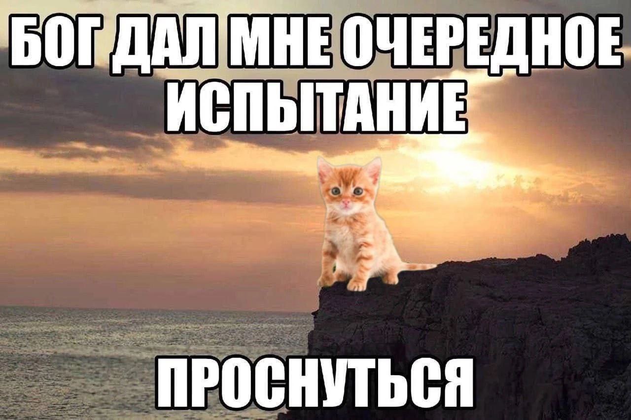 1723804924847.jpeg