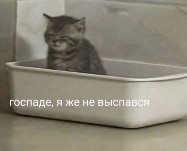 1723805784.jpg