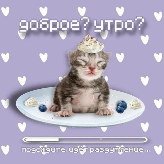 1724050774250.png