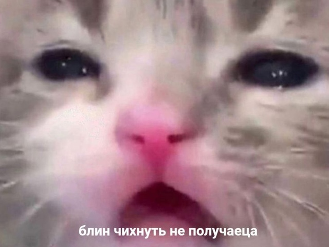 1724091254.jpg