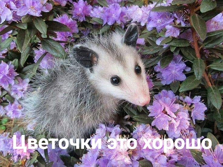 1724316826586.png