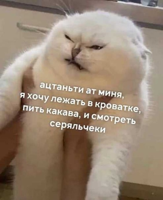 1724344005.jpg