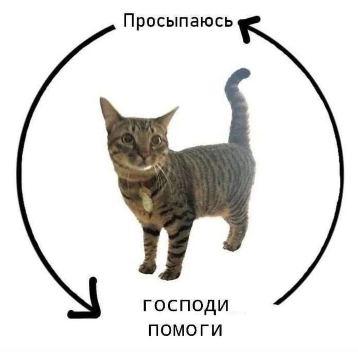 1724562420584.jpeg