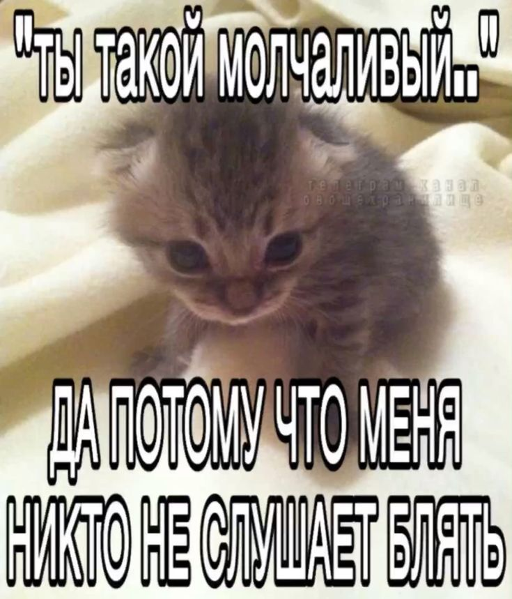 1724831857003.png