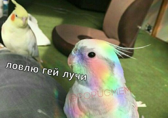 1724876039889.png